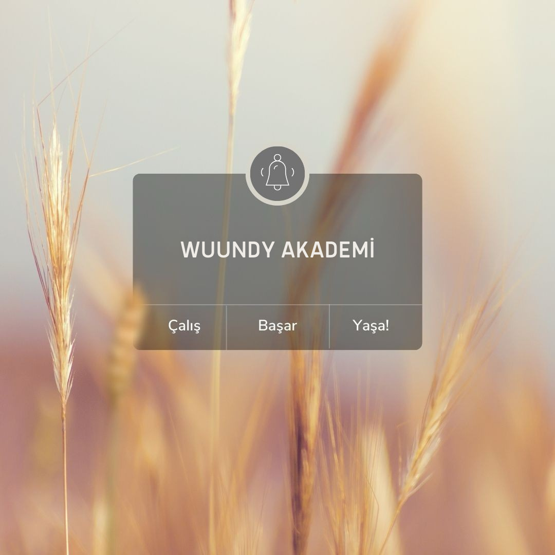 Login Visual